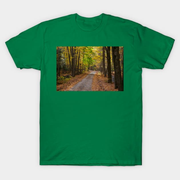 Through The Woods T-Shirt by Rob Johnson Photography